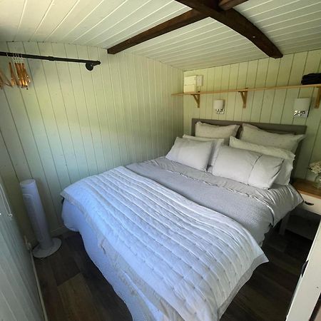 Villa Cwtch Cadi Llwyngwril Esterno foto