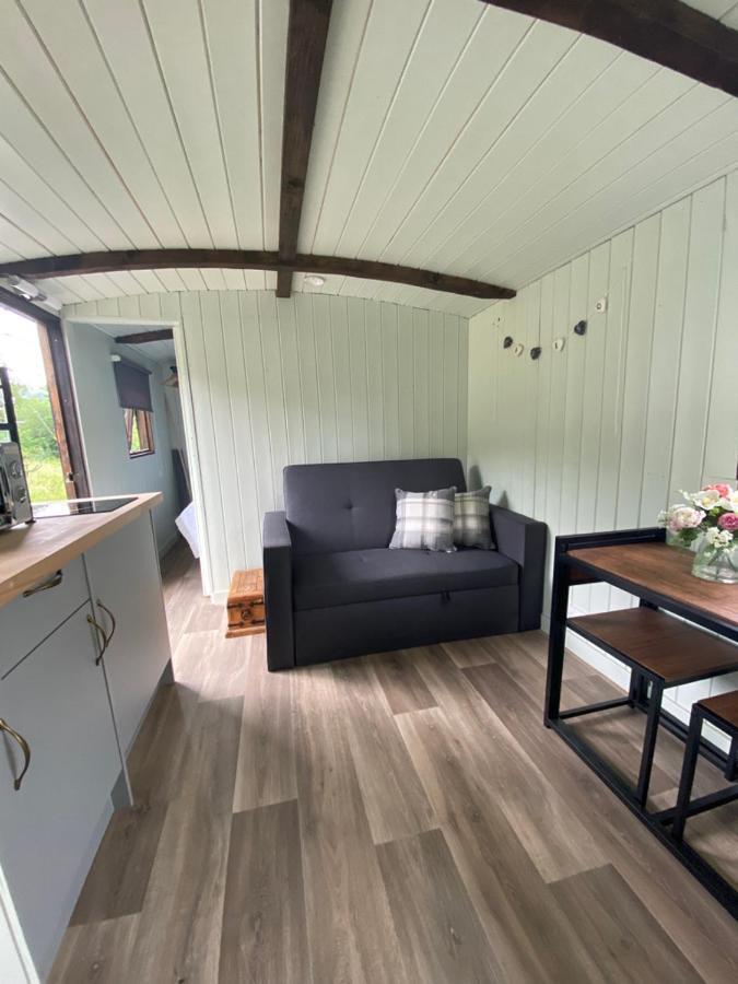 Villa Cwtch Cadi Llwyngwril Esterno foto