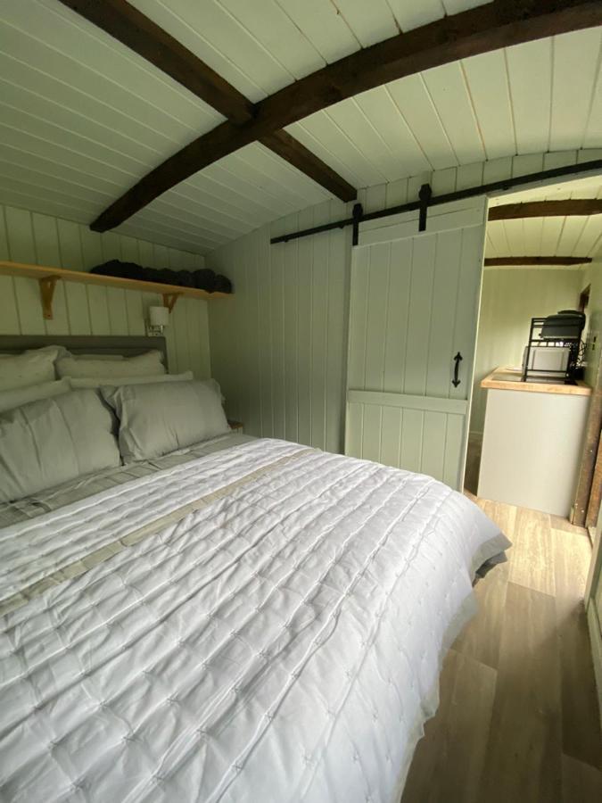 Villa Cwtch Cadi Llwyngwril Esterno foto